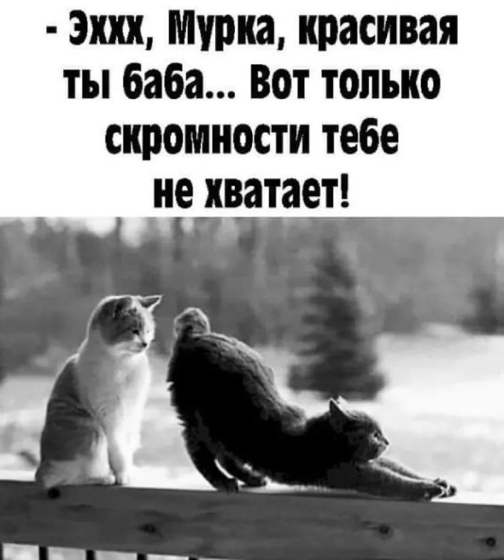 Хорошая ты баба мурка только скромности тебе не хватает