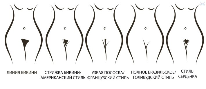 Зона депиляции классическое бикини