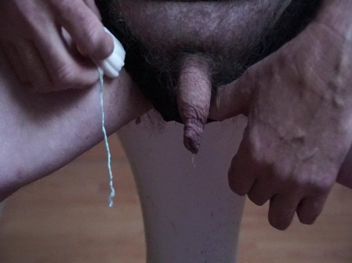 Сперматозоид под микроскопом