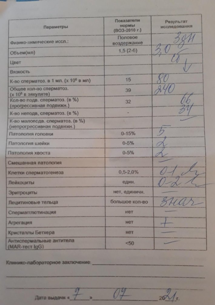 Норма спермограммы
