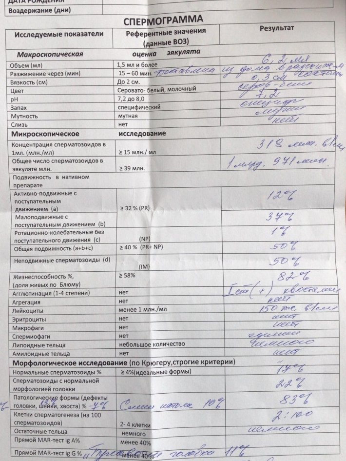 Спермограмма по крюгеру норма