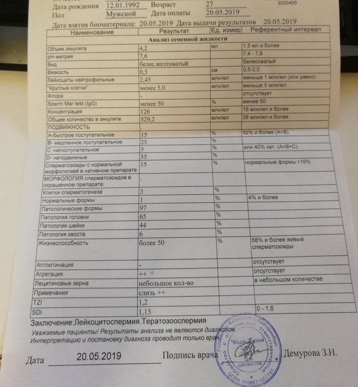 Патологическая морфология спермограммы