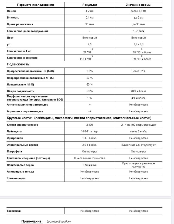 Анализ спермограммы расшифровка