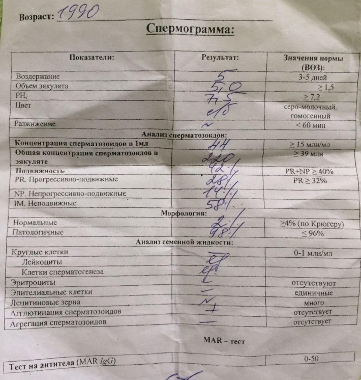 Спермограмма анализ норма у мужчин