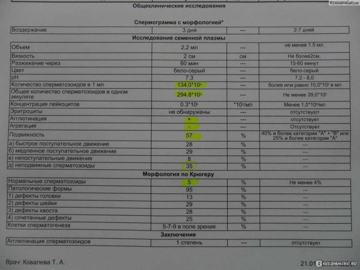 Морфология по крюгеру спермограмма норма