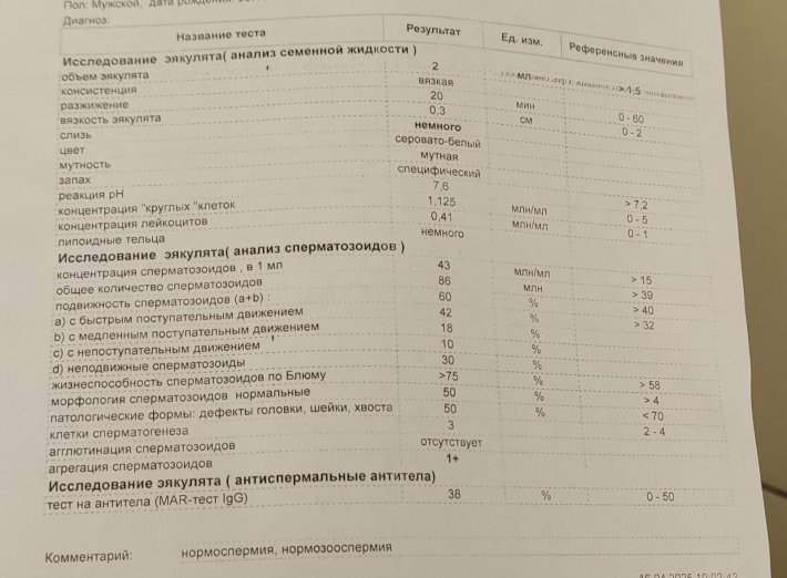 Спермограмма нормозооспермия