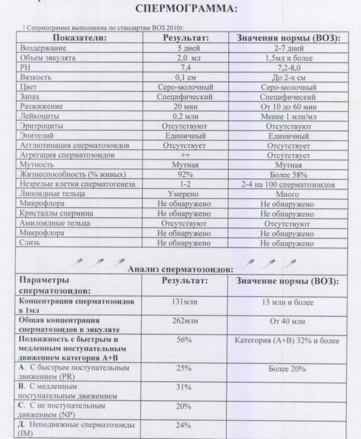 Спермограмма подвижность сперматозоидов нормы
