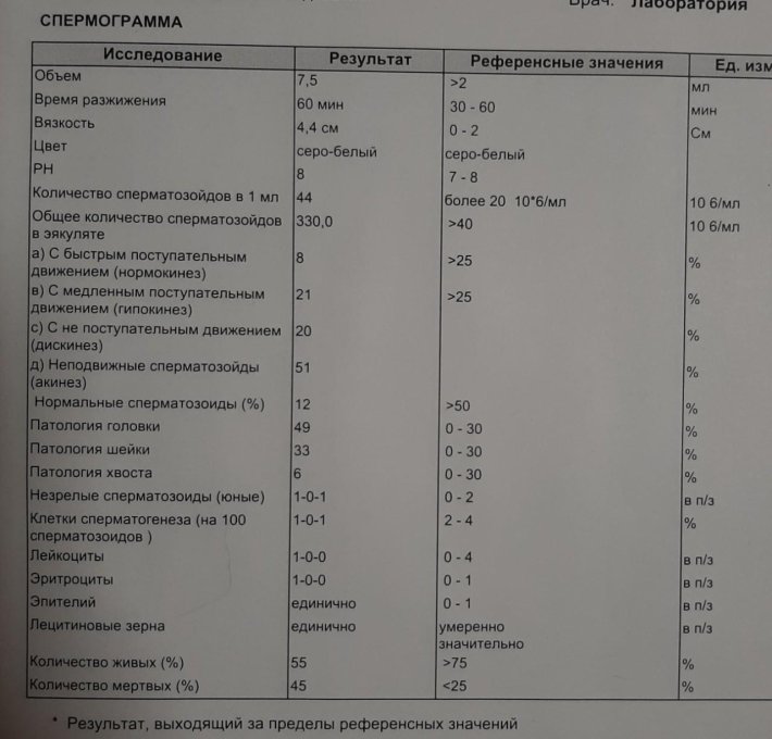 Норма спермограмма