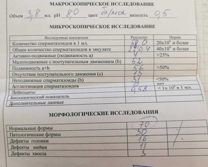 Спермограмма микроскопическое исследование расшифровка