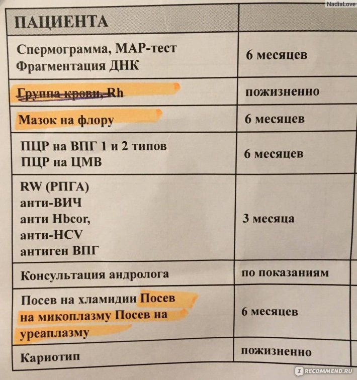 Спермограмма с днк фрагментацией