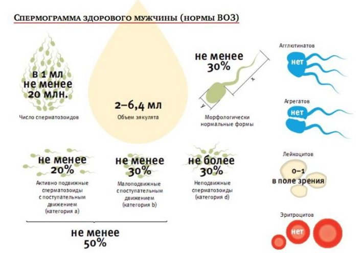 Показатели здоровой спермограммы