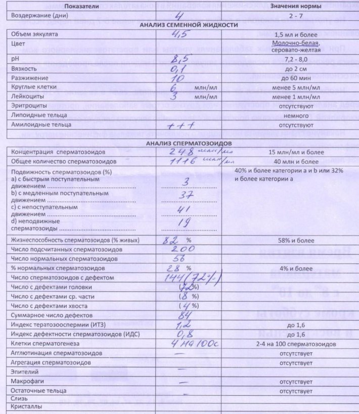 Спермограмма здорового мужчины показатели