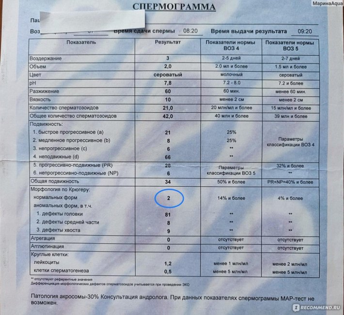 Норма показателей фрагментации днк спермограммы