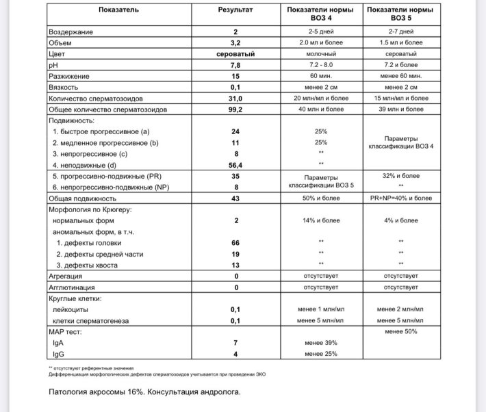 Морфология сперматозоидов (по крюгеру) норма