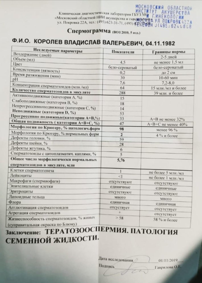 Нормальный анализ морфологии спермограммы