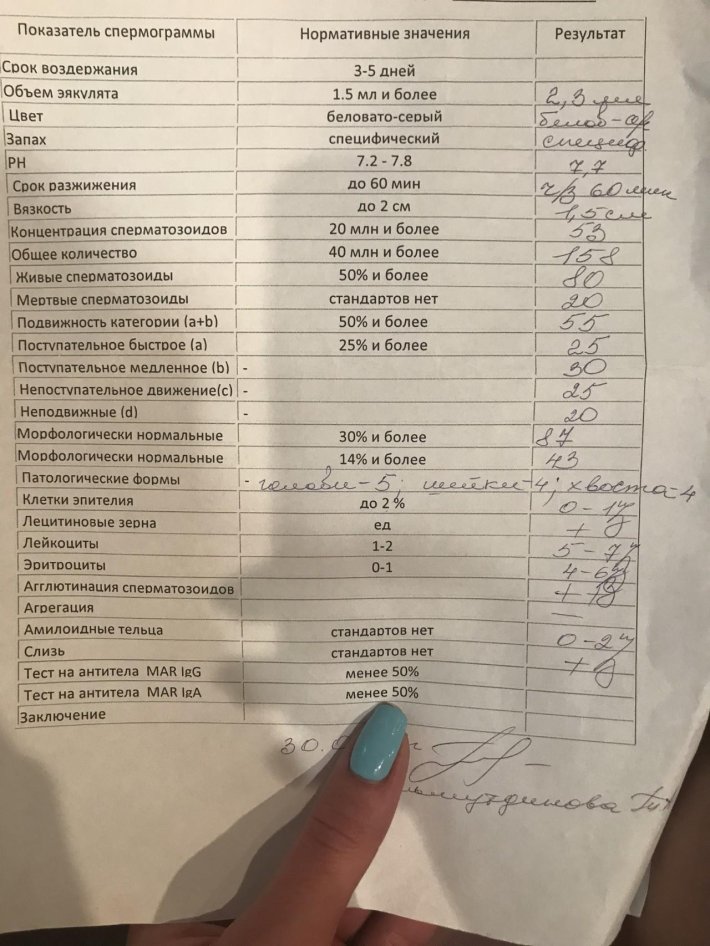 Норма результатов анализа спермограммы
