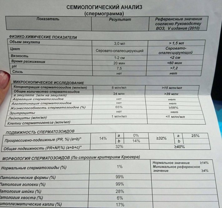 Спермограмма по крюгеру расшифровка нормальные формы