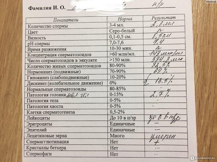 Анализ эякулята норма