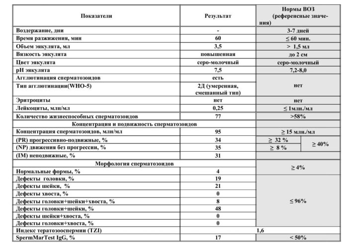 Морфология сперматозоидов по крюгеру нормозооспермия