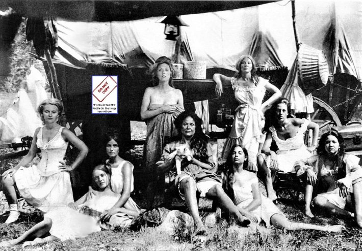 Голые хиппи вудсток 1969