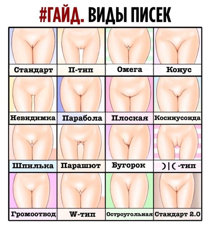 Тип трусов женских