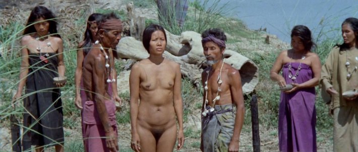 Il paese del sesso selvaggio