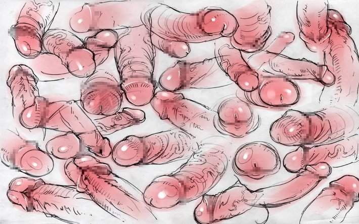 Рисование половых органов