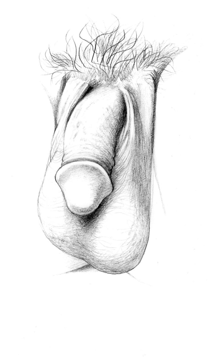 Рисунки нос