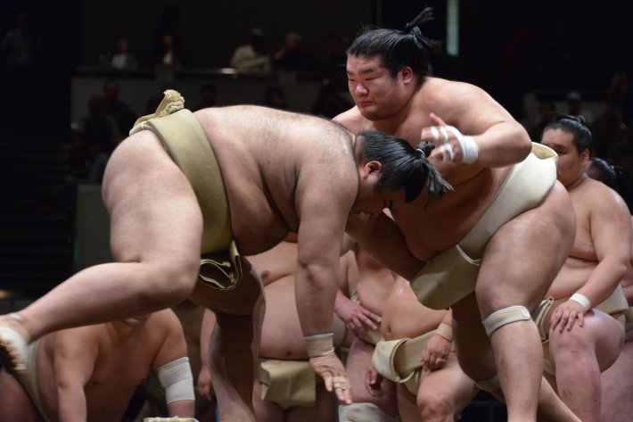 Sumo wrestler
