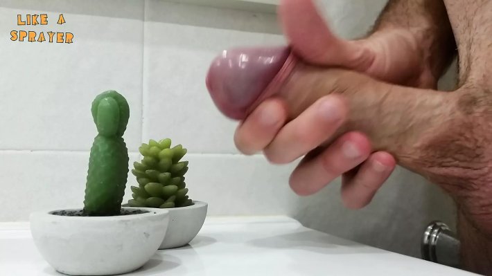 Кактус большой