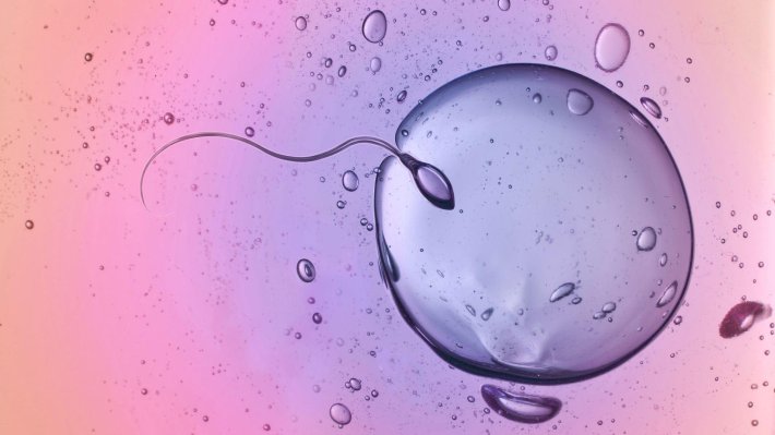 Sperm