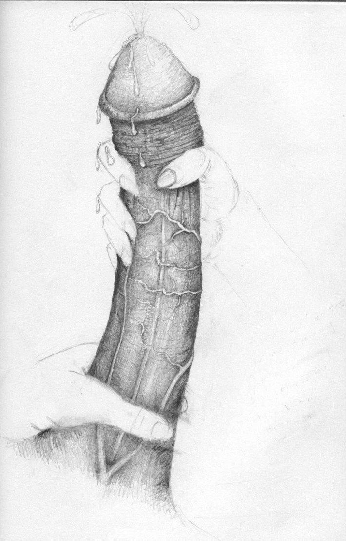 Нарисованный член