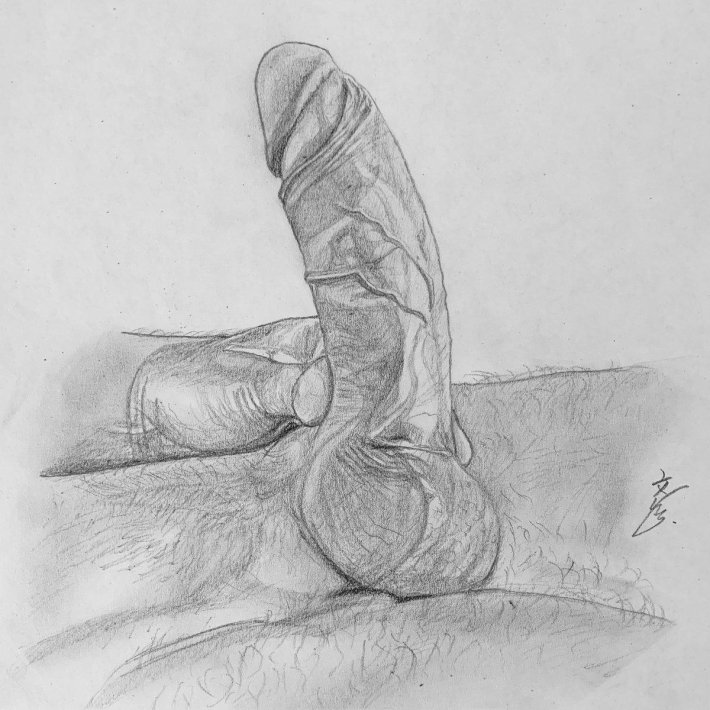 Член рисунок