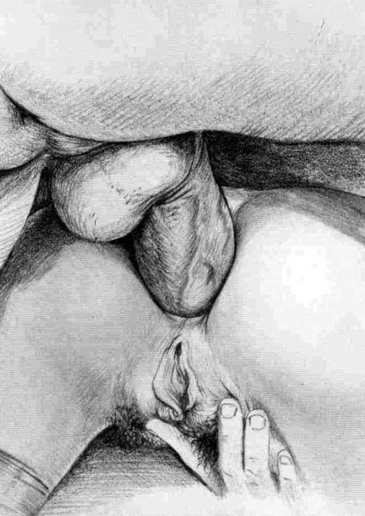 Рисунки карандашом секс