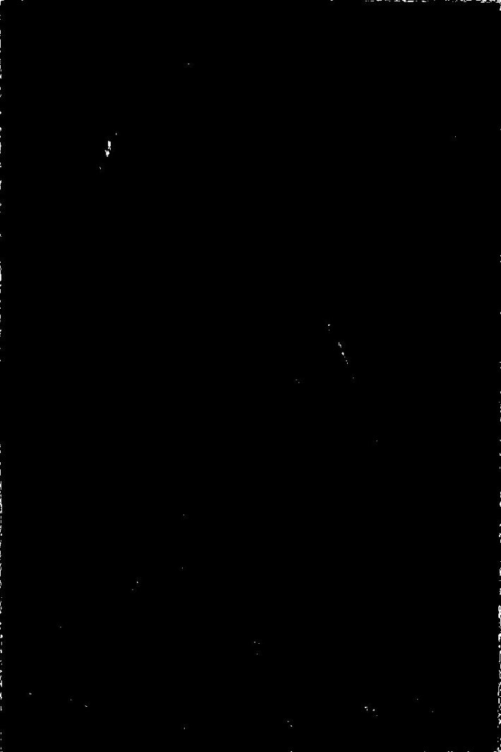 Художник Анри Авриль