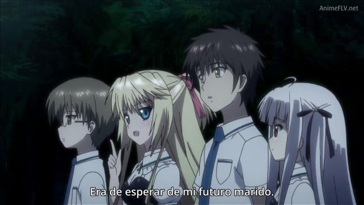 Абсолютный дуэт гарем