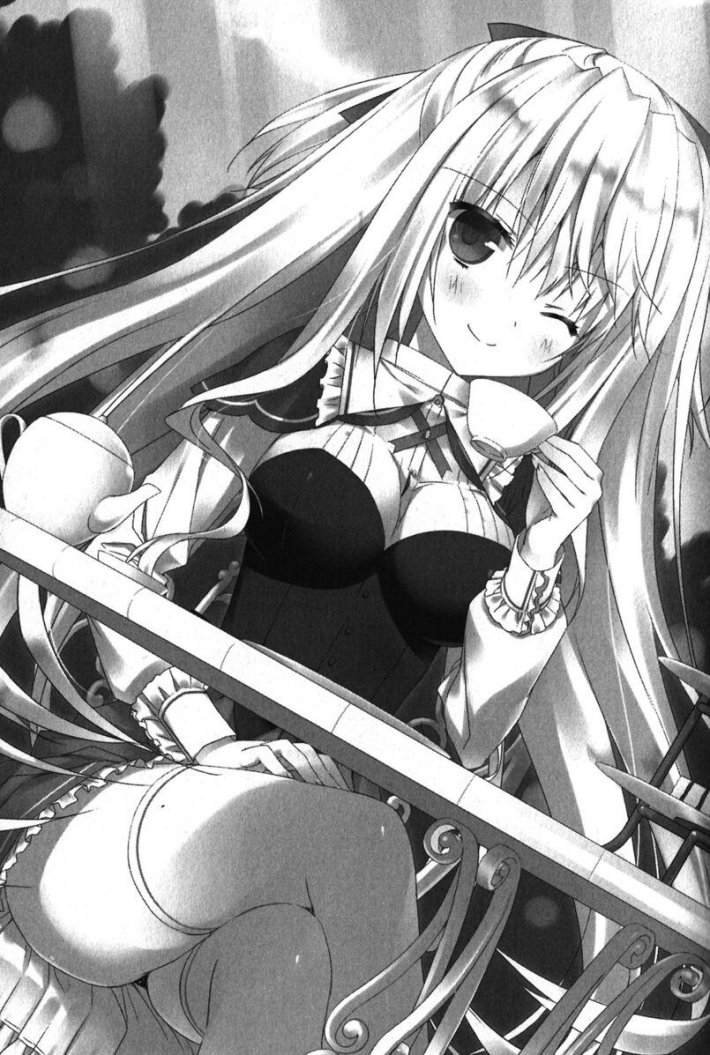 Absolute Duo аниме