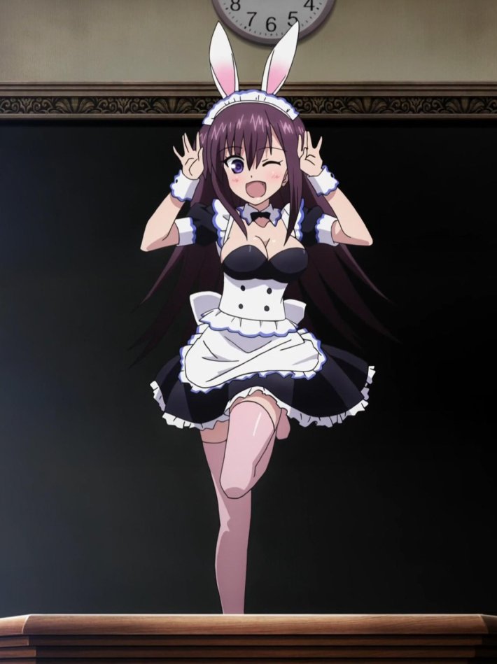 Абсолютный дуэт кролик сенсей