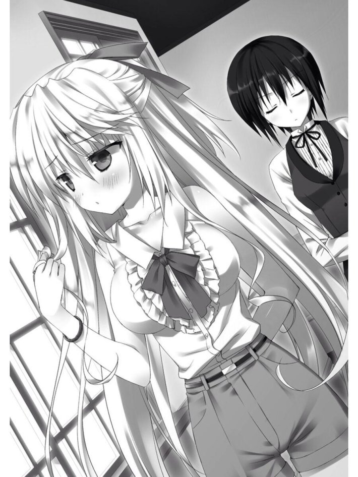 Absolute Duo ранобэ
