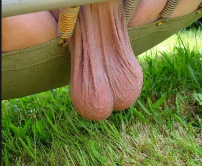 Гигантские свисающие яйца