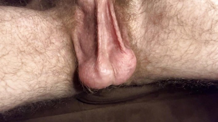 Яйца и член крупный план