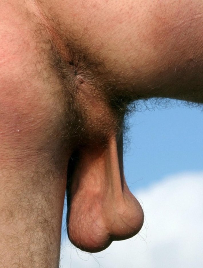 Огромные волосатые яички