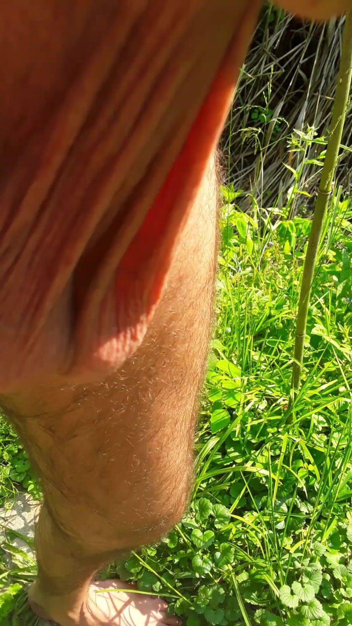 Отвисшие яйца