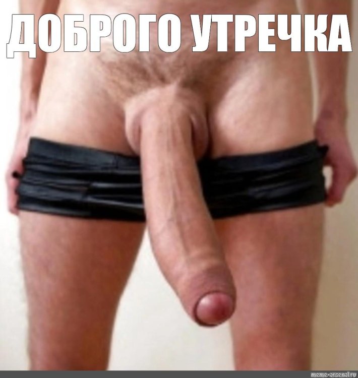 Член 40 см