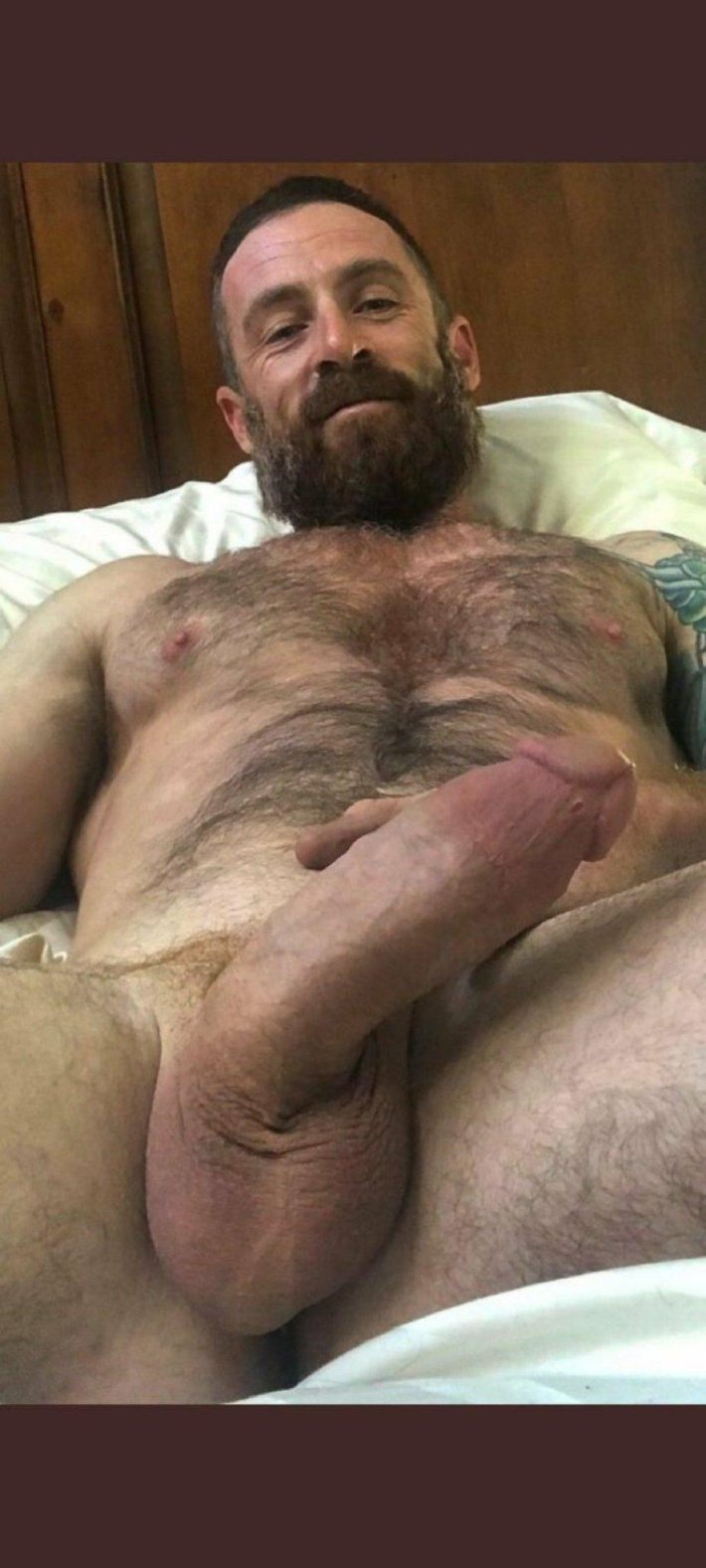 Волосатые члены порно