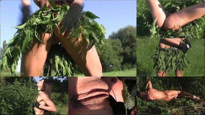 Эротическая порка крапивой
