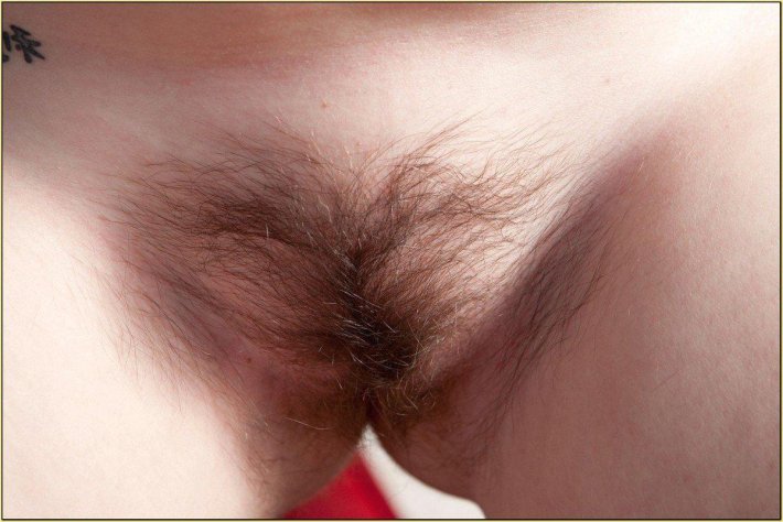 Первые волосы на лобке у девушек