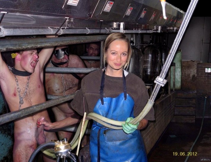 Принудительное доение женщин