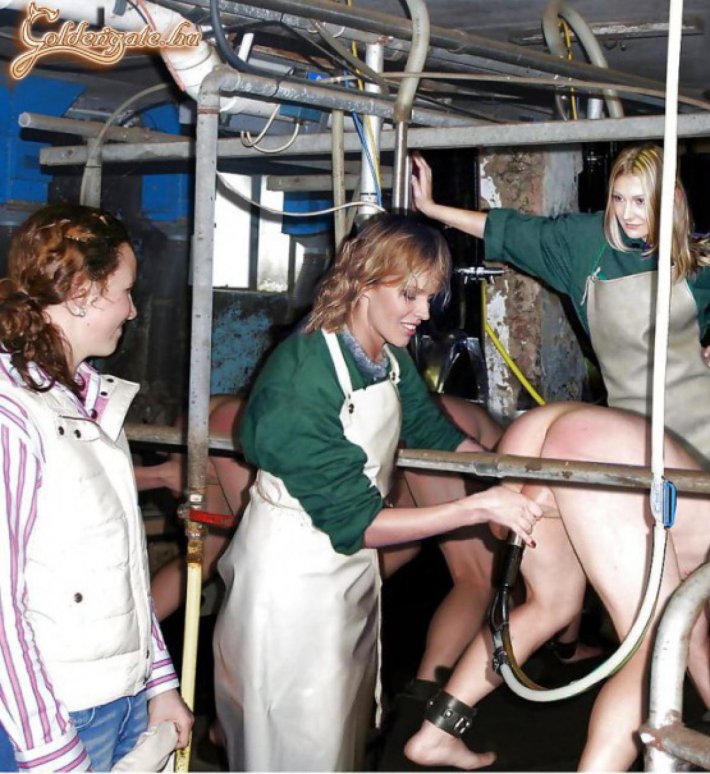 Доильный аппарат мужской бдсм