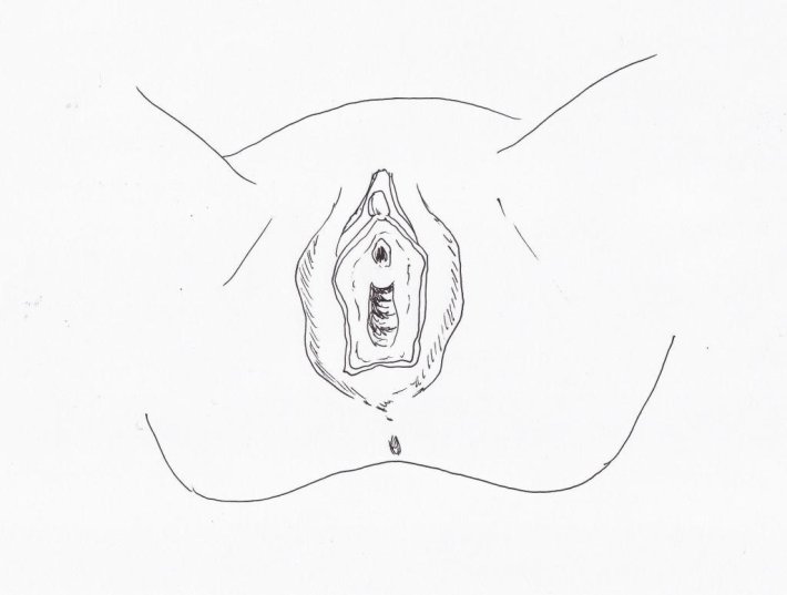 Женская промежность схематично